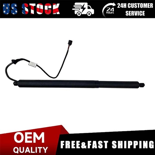 Power hatch lift support for - support,